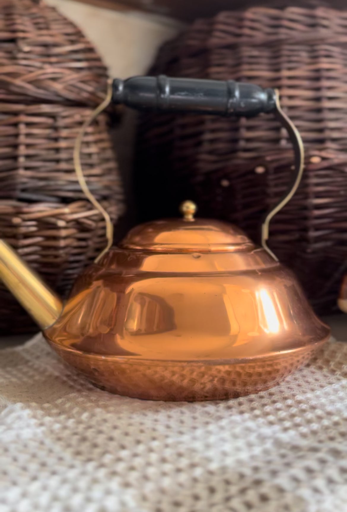 Vintage Copper Teapot with Brass Handle and Spout