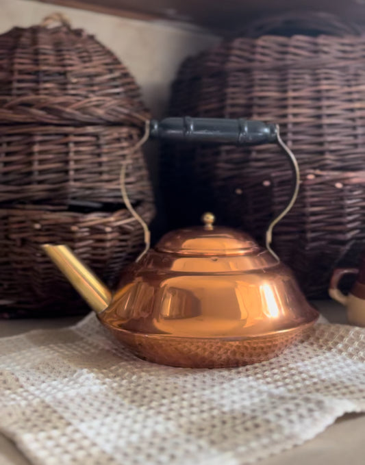 Vintage Copper Teapot with Brass Handle and Spout