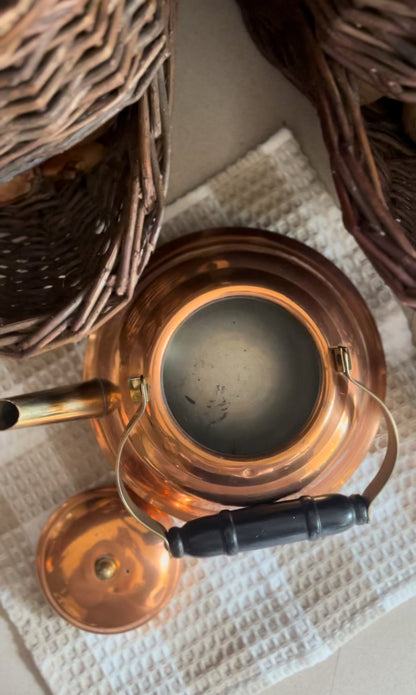 Vintage Copper Teapot with Brass Handle and Spout