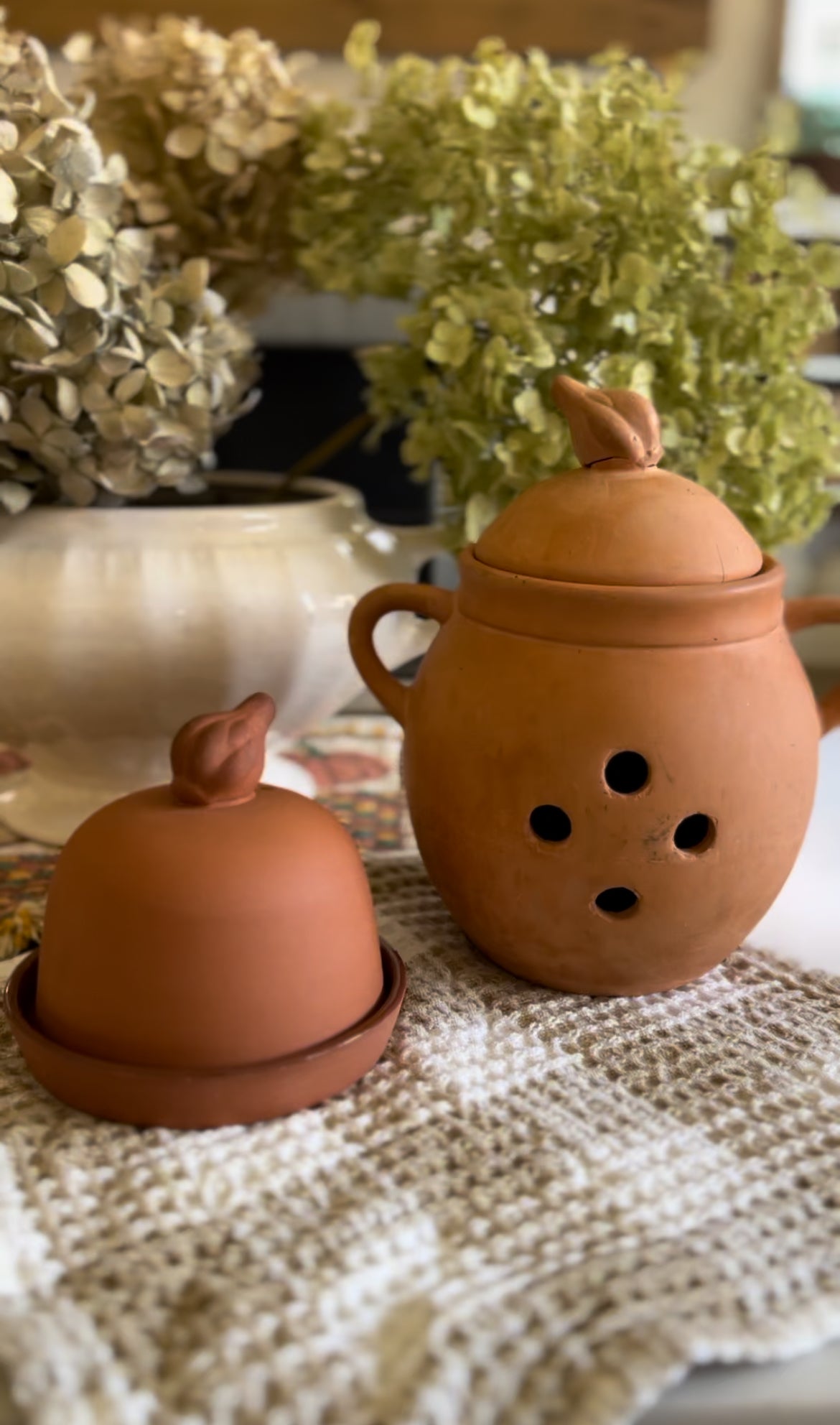 Terra Cotta Garlic Keeper (two options)