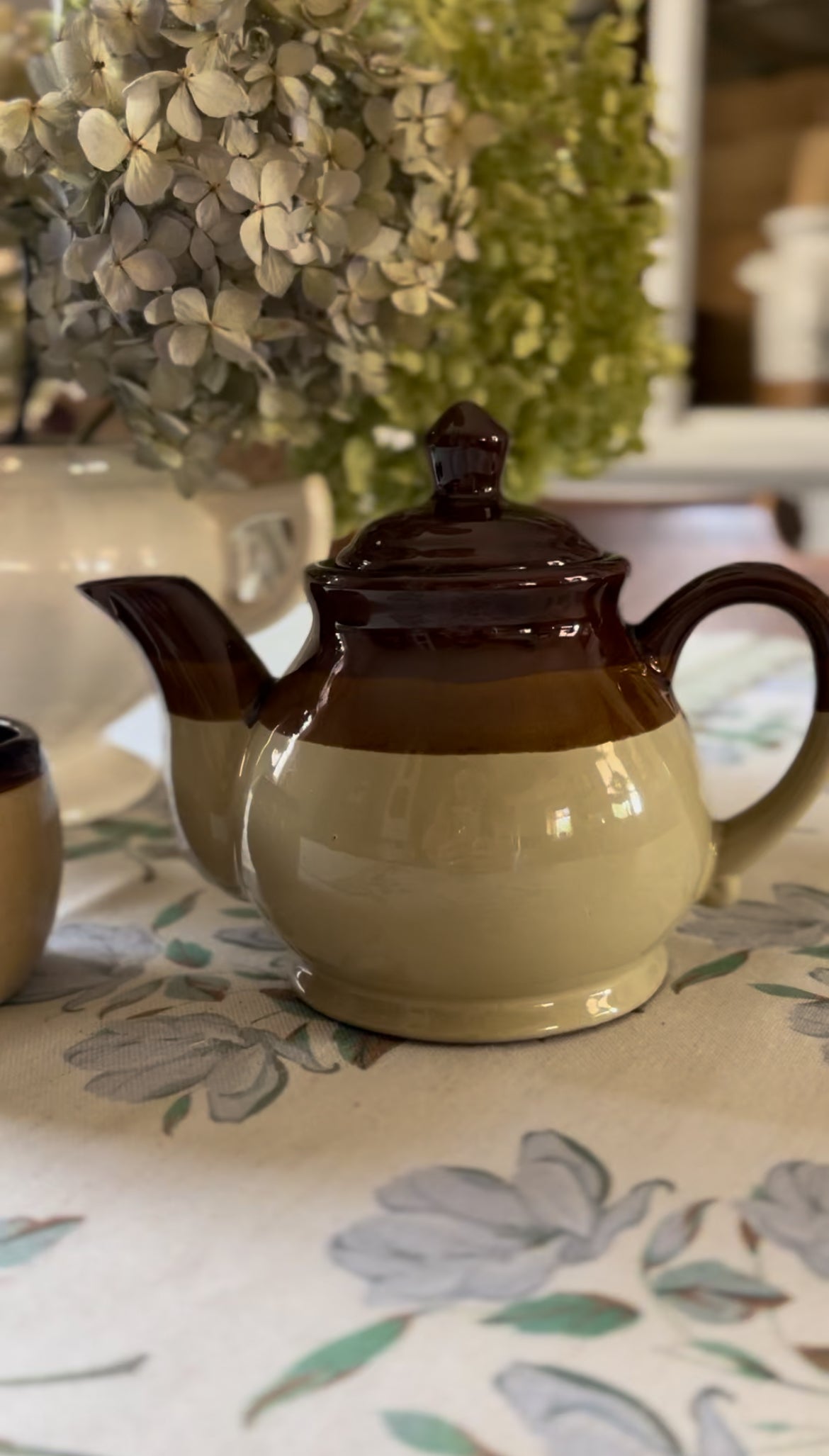 Brown Stoneware Teapot