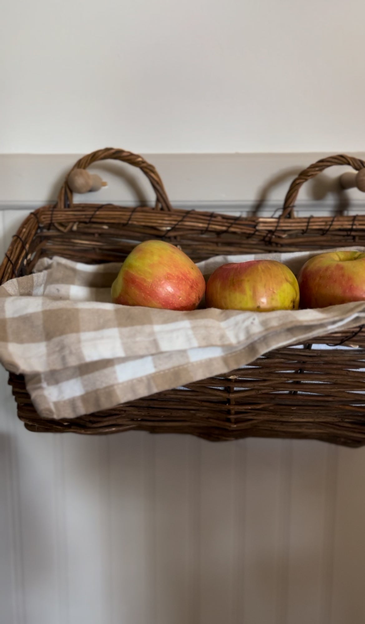 Wicker Double Handle Hanging Basket