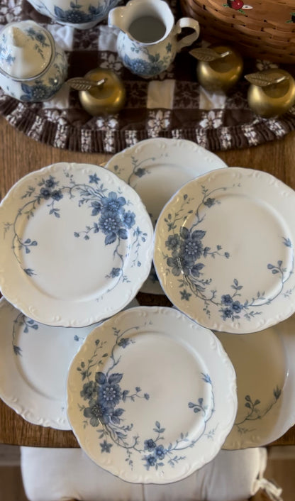 Set of 6 Blue and White Bavarian Mitterteich Dessert Plates