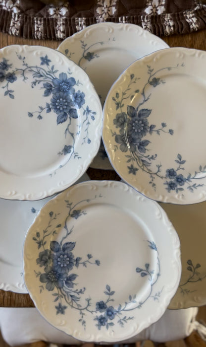 Set of 6 Blue and White Bavarian Mitterteich Dessert Plates