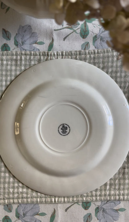 Blue and White Staffordshire Finlandia Pattern Plate