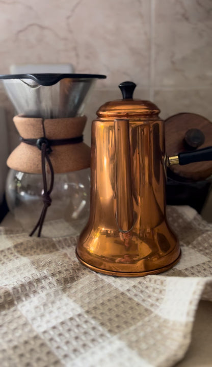 Copper Watering Pot