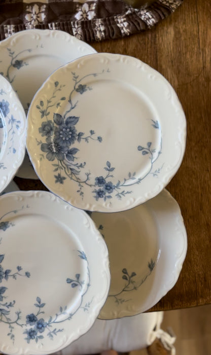 Set of 6 Blue and White Bavarian Mitterteich Dessert Plates