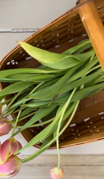 Gardening Basket